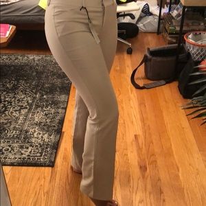 NWT Express Low Rise Editor Pant